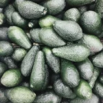 Aguacate Nacional