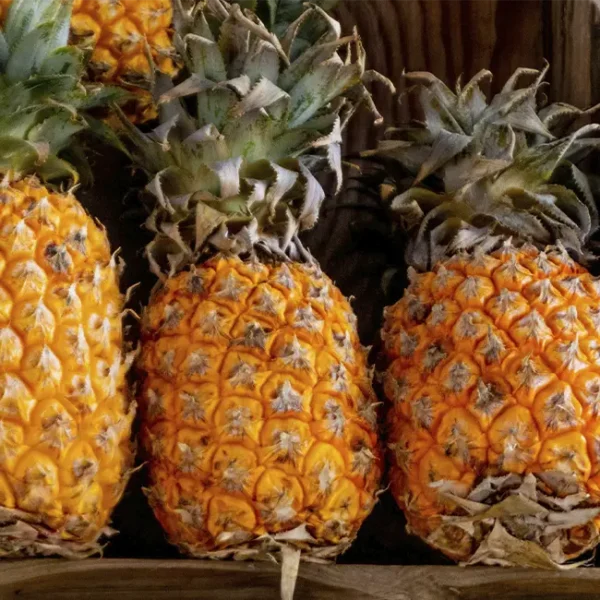Piña